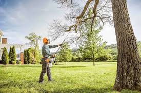 Best Lawn Disease Treatment  in Poipu, HI